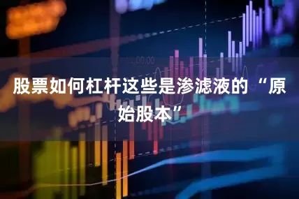 股票如何杠杆这些是渗滤液的 “原始股本”